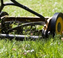 Een kort gemaaid gazon in de lente en de zomer